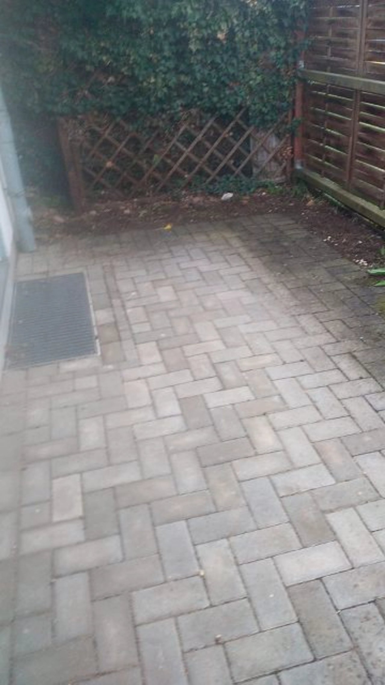 Image Image