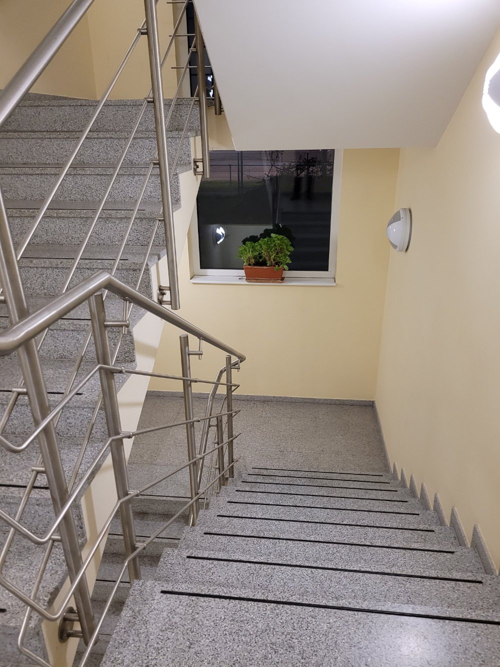 Image Image