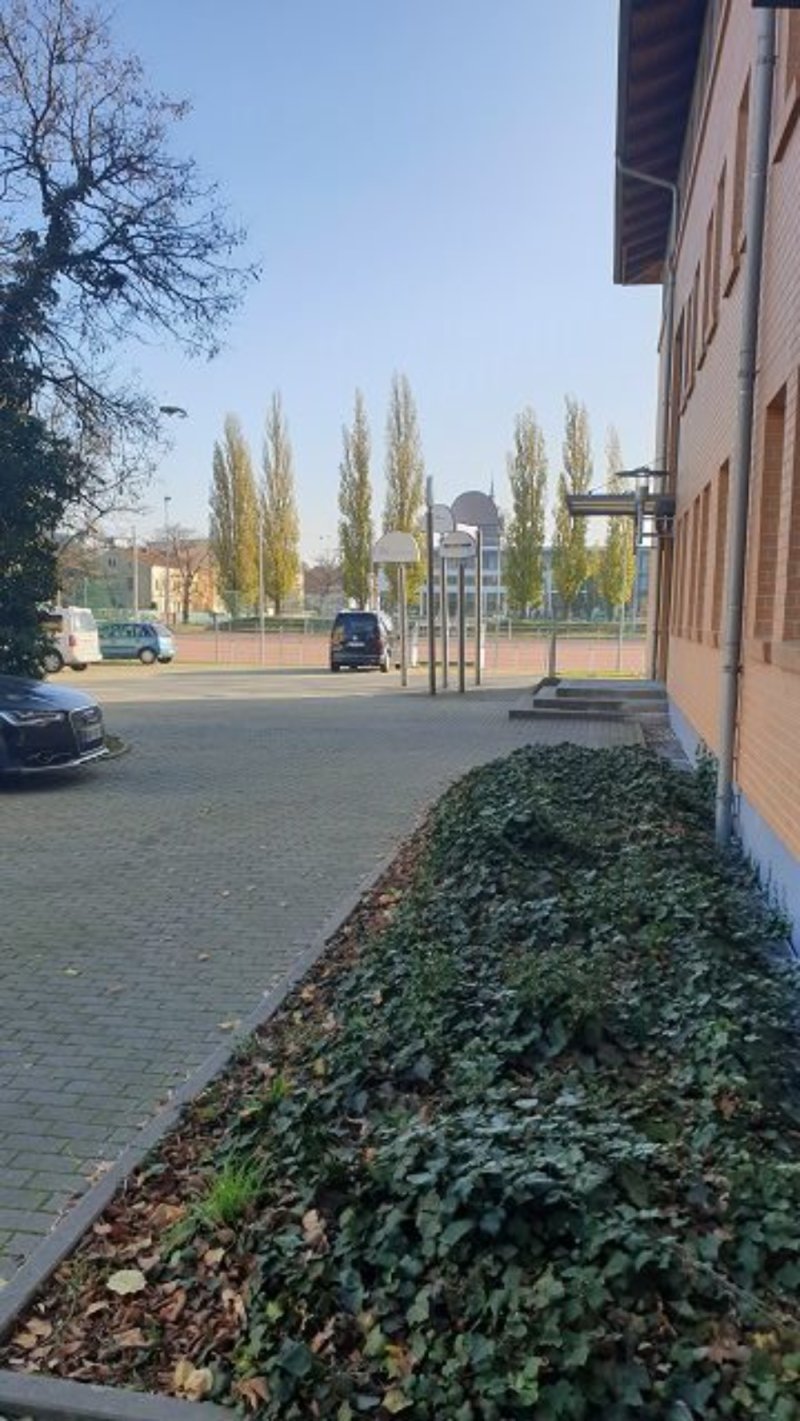 Image Image