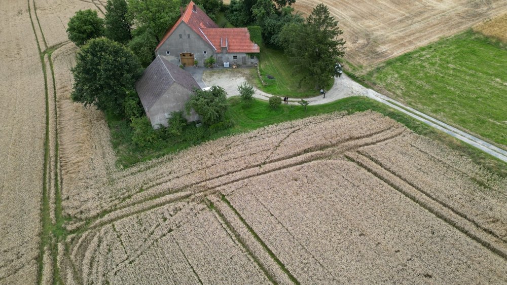 Image Image