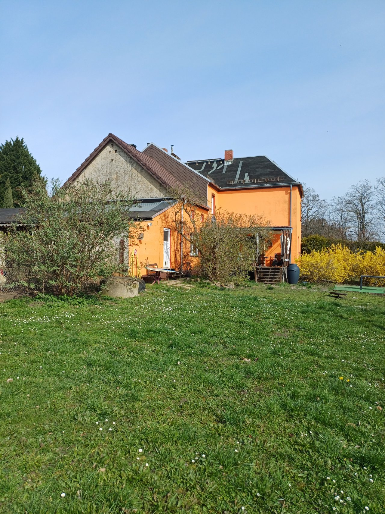 Image Image