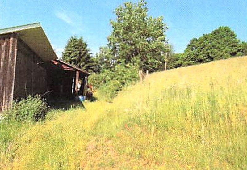 Image Image
