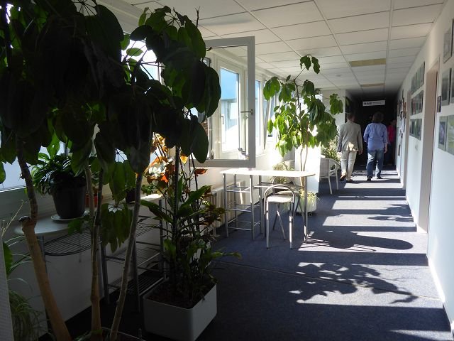 Image Image