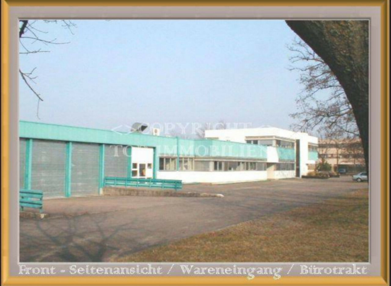 Image Image