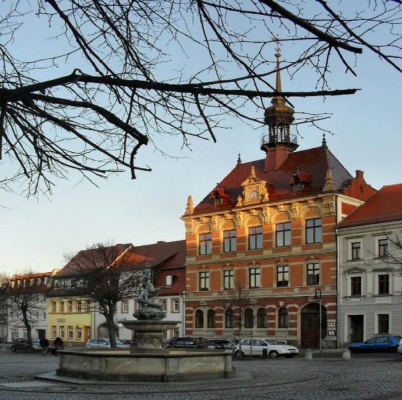 Image Image
