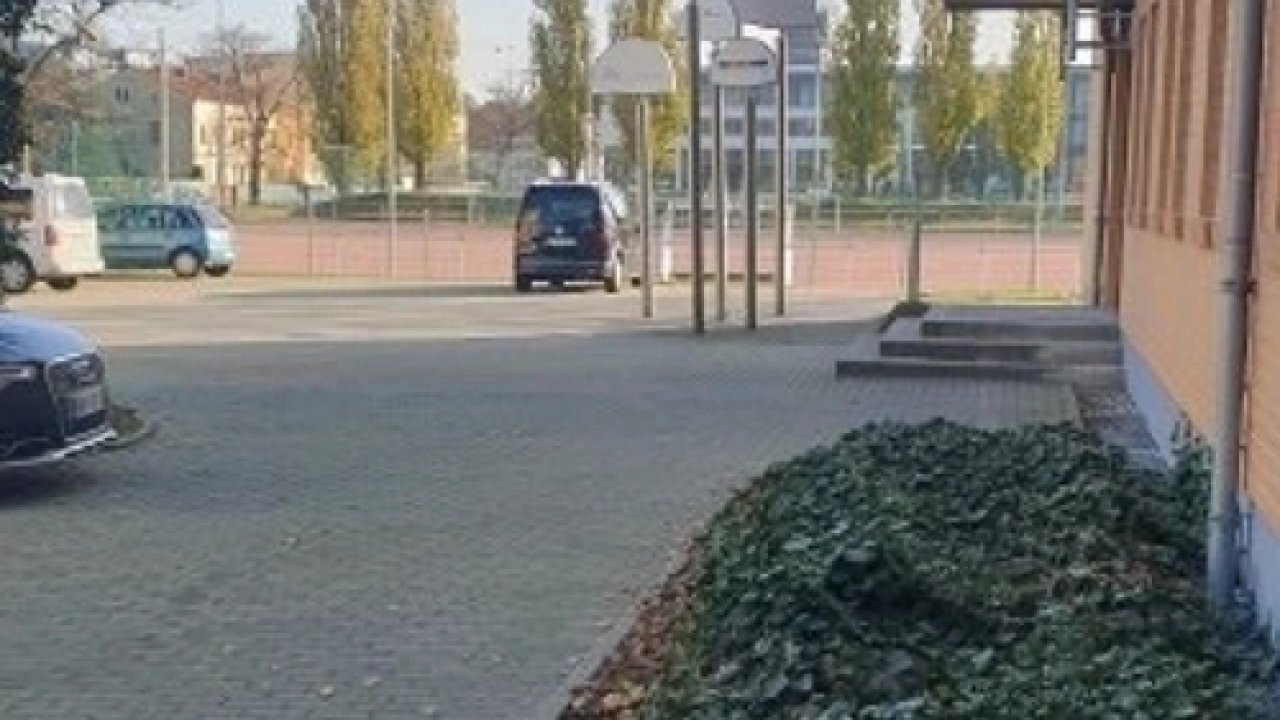 Image Image
