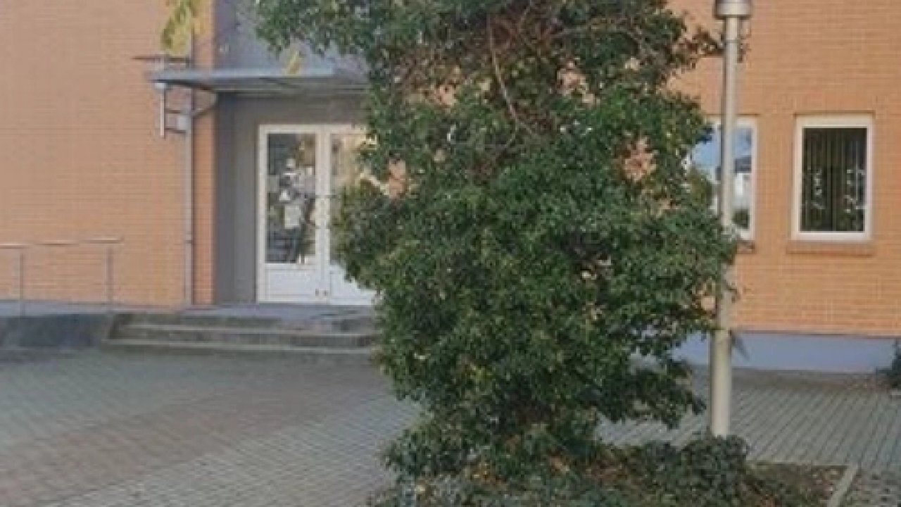 Image Image