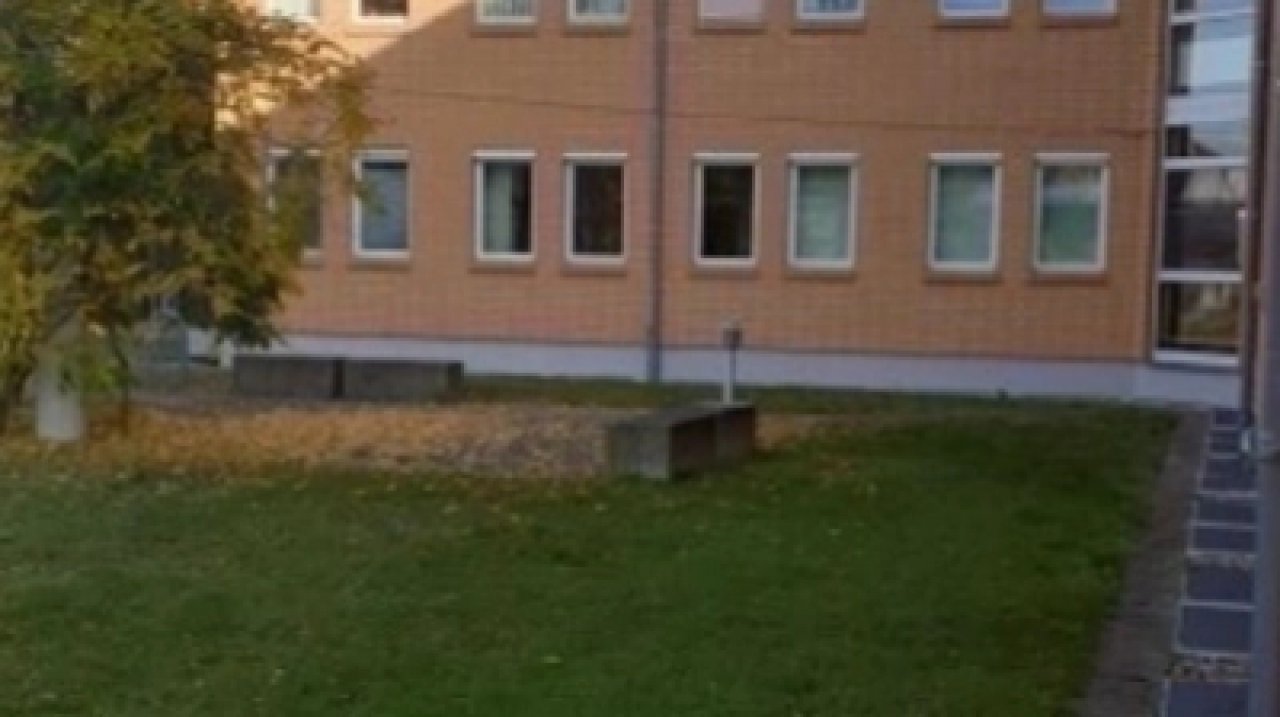 Image Image