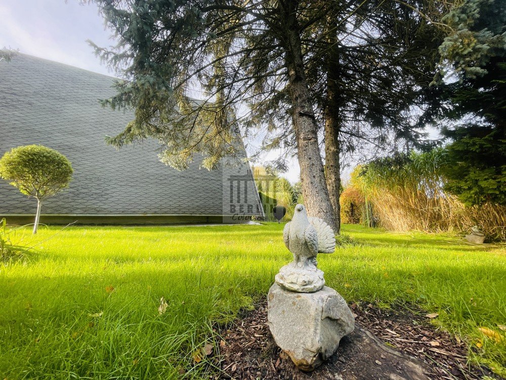 Image Image