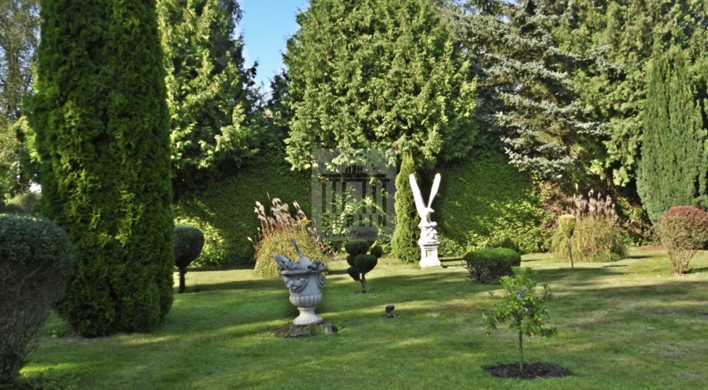 Image Image