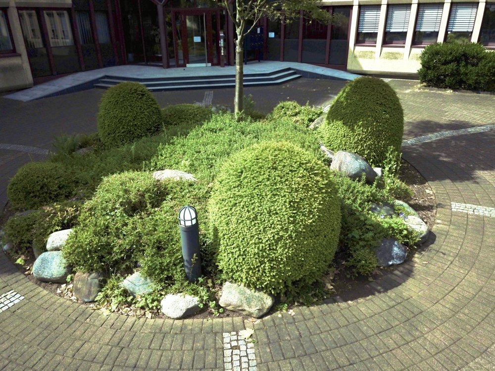 Image Image