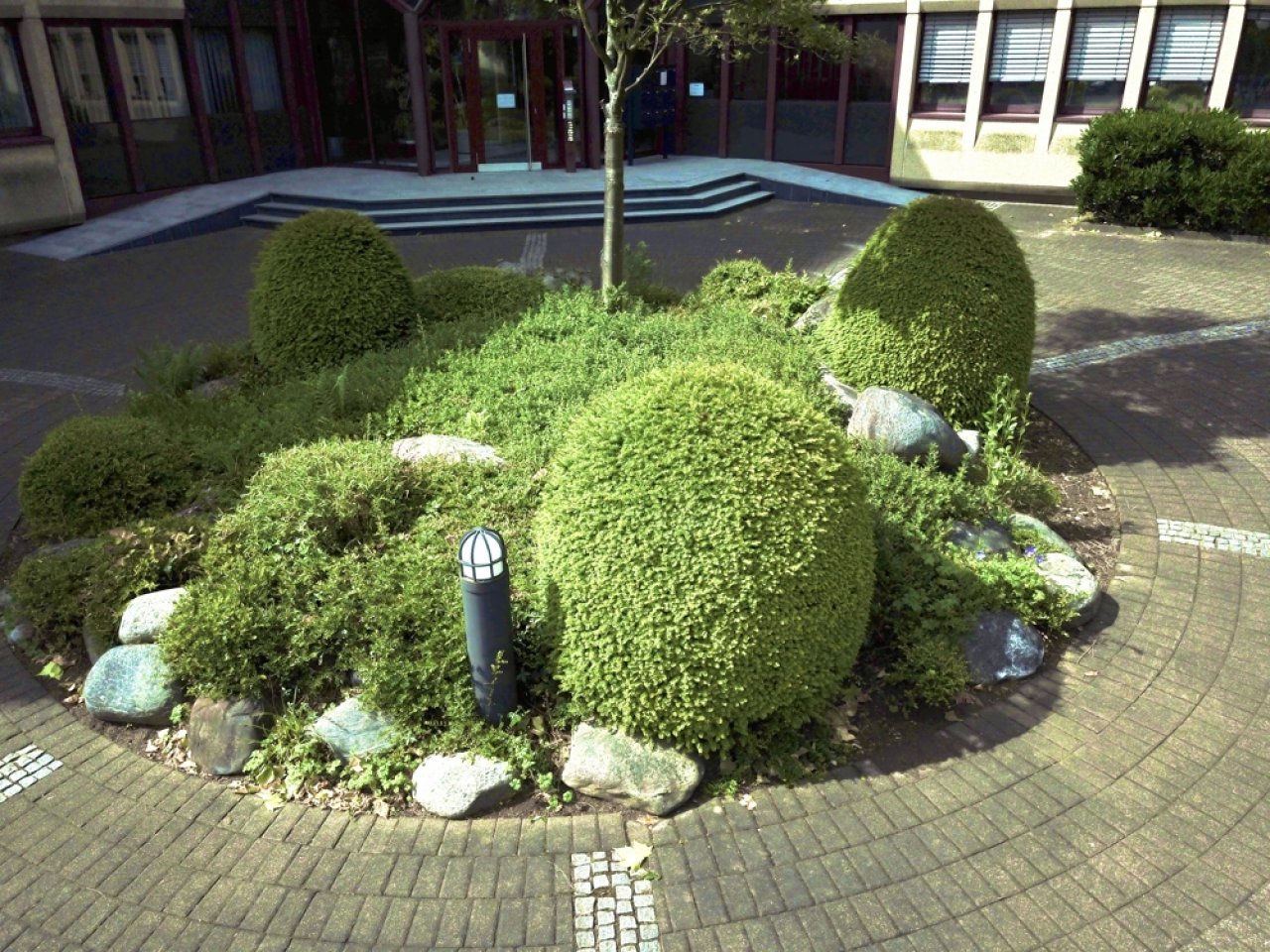 Image Image