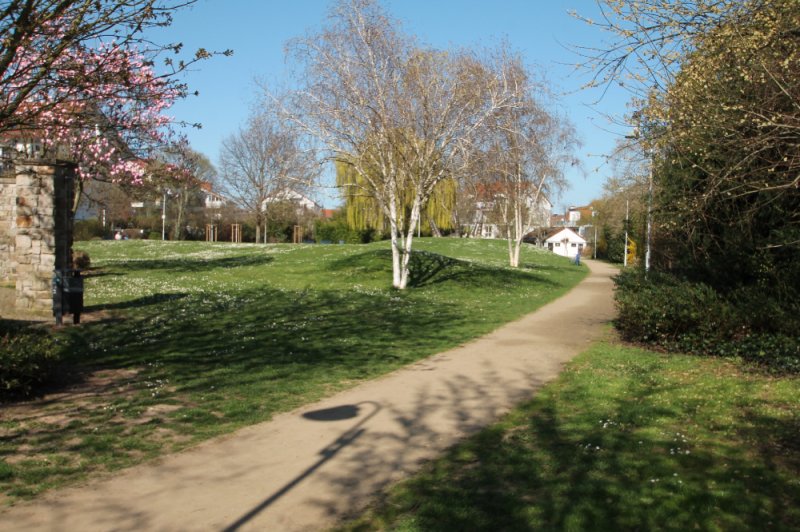 Image Image