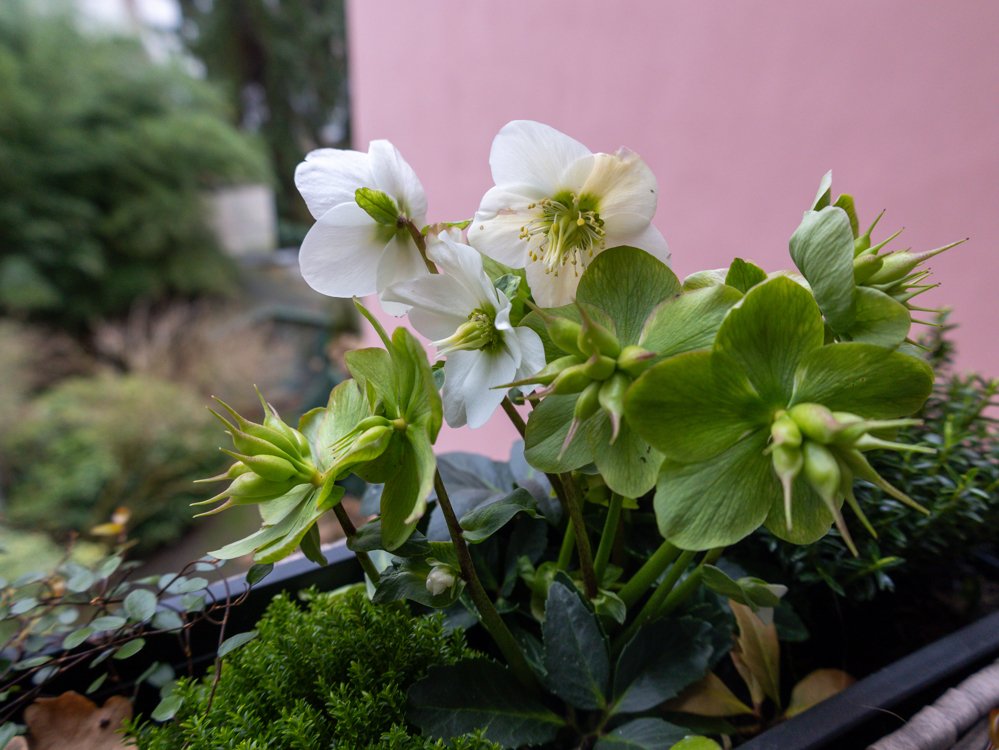 Image Image
