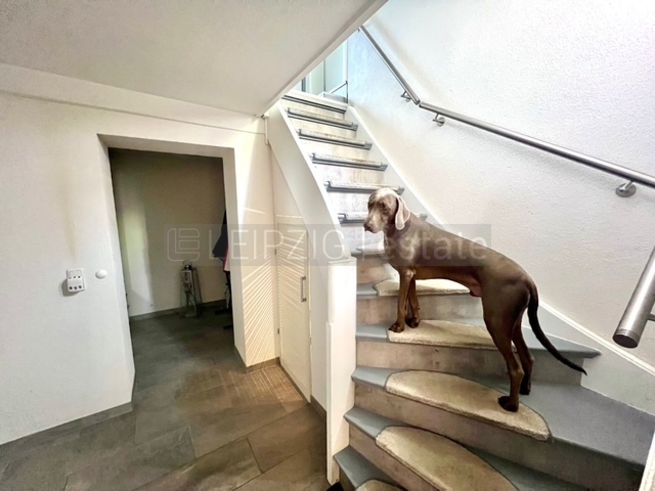 Image Image