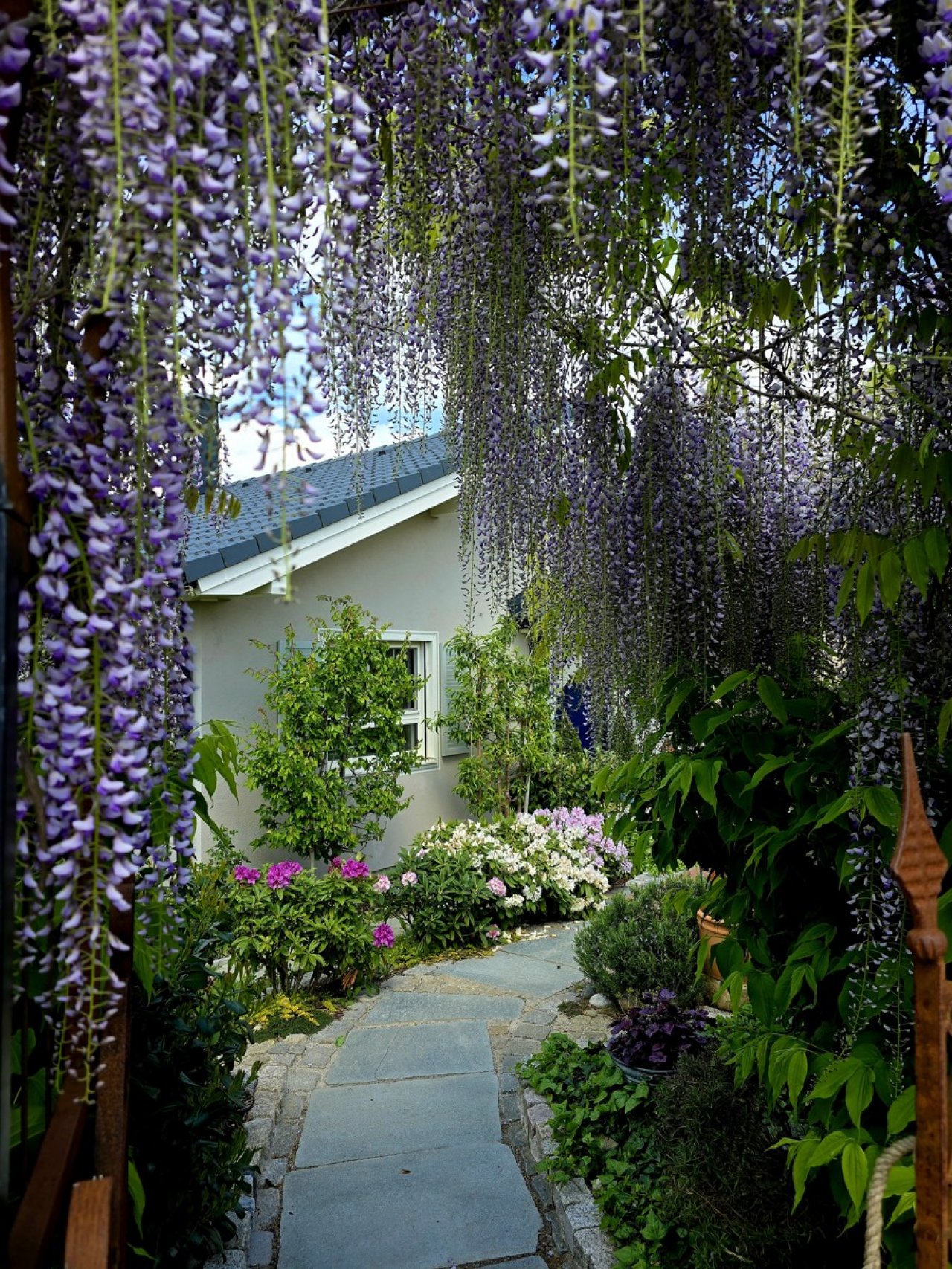 Image Image
