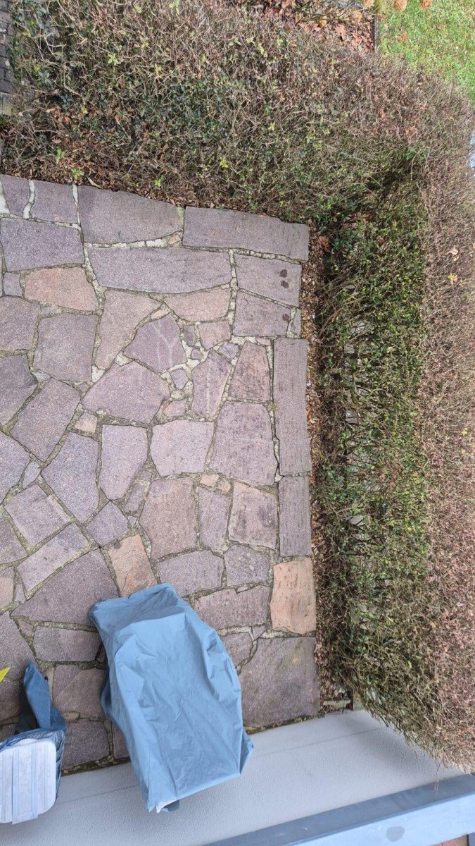 Image Image