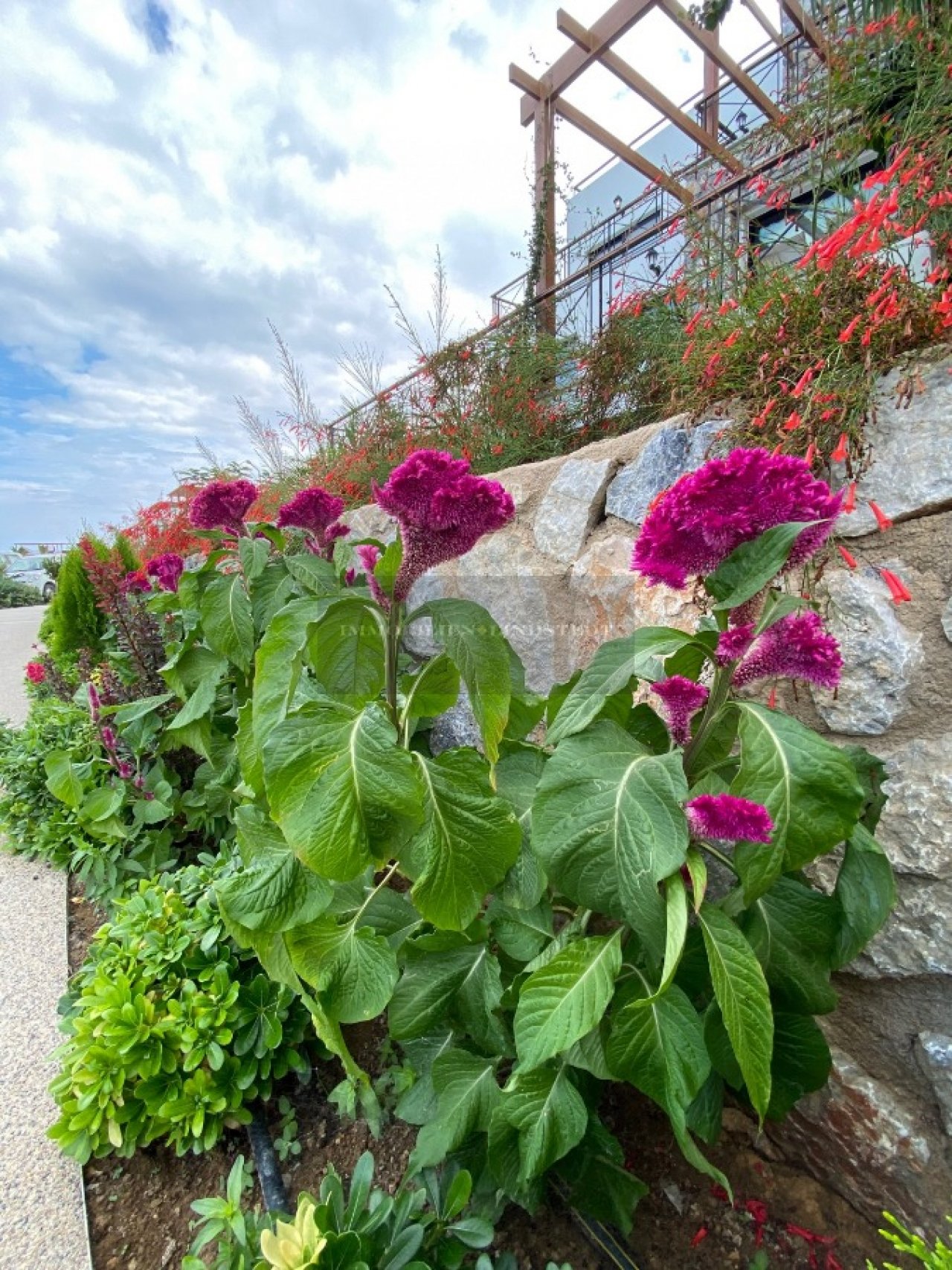Image Image