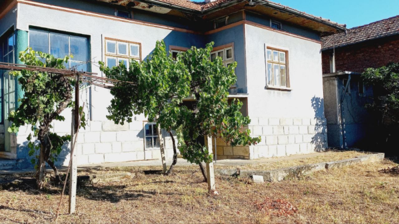 Image Image