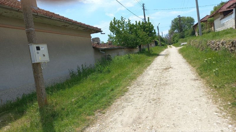 Image Image