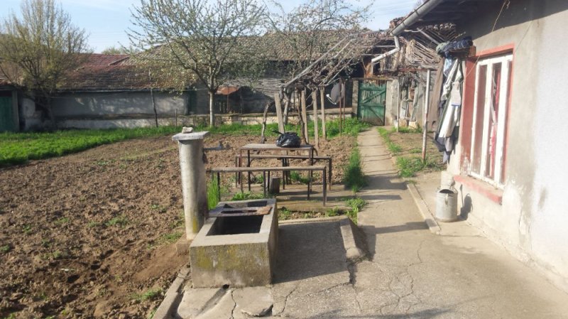 Image Image
