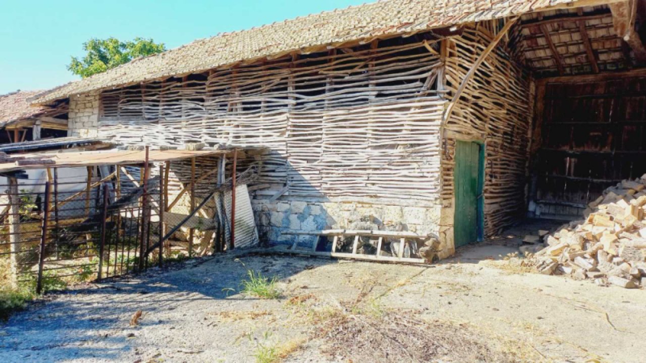 Image Image