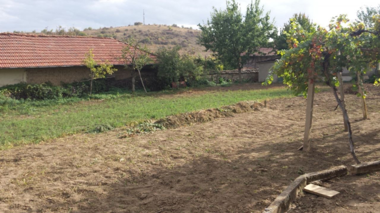 Image Image