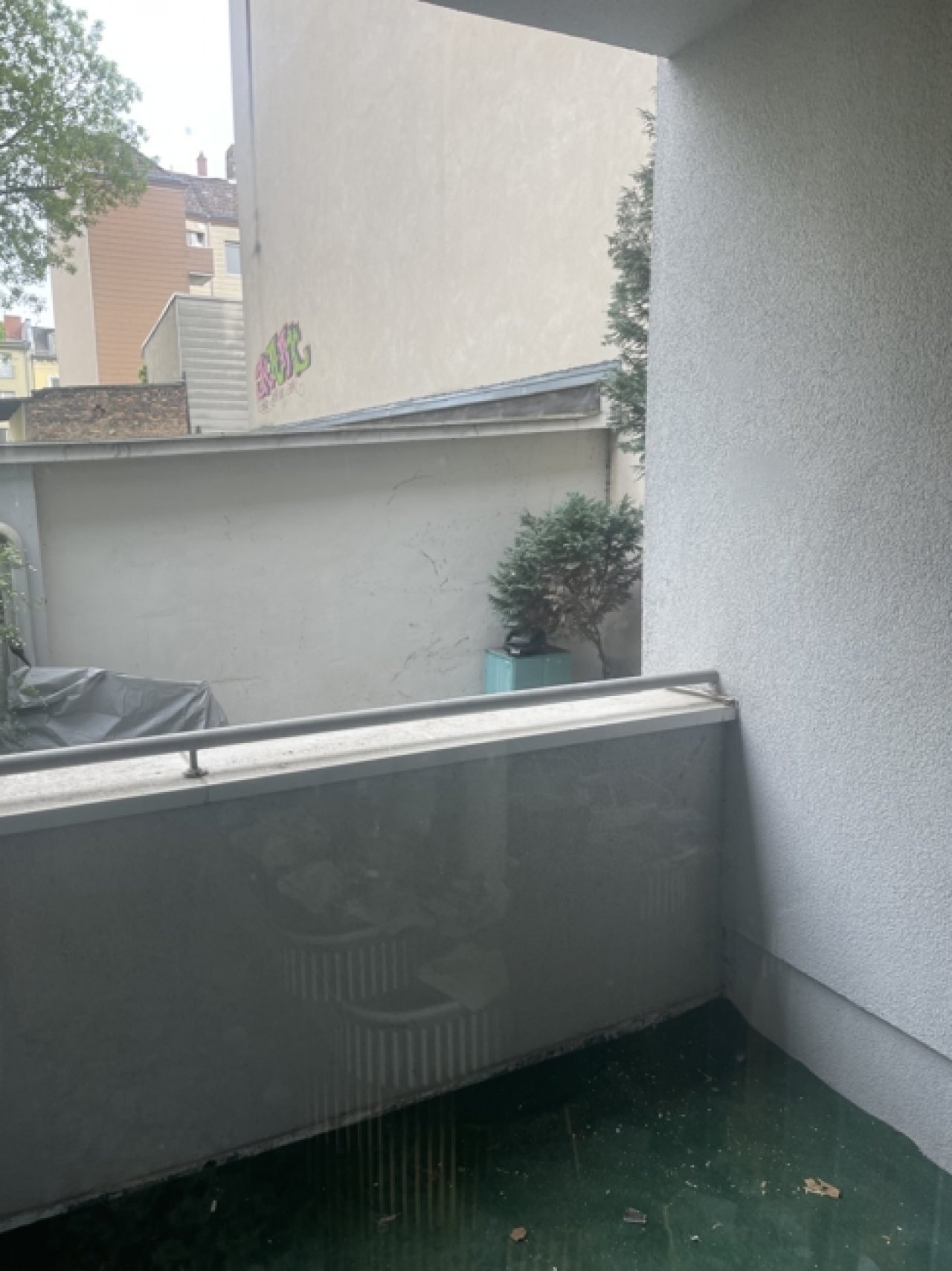Image Image